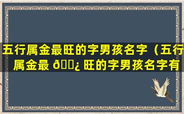 五行属金最旺的字男孩名字（五行属金最 🌿 旺的字男孩名字有 🌹 哪些）